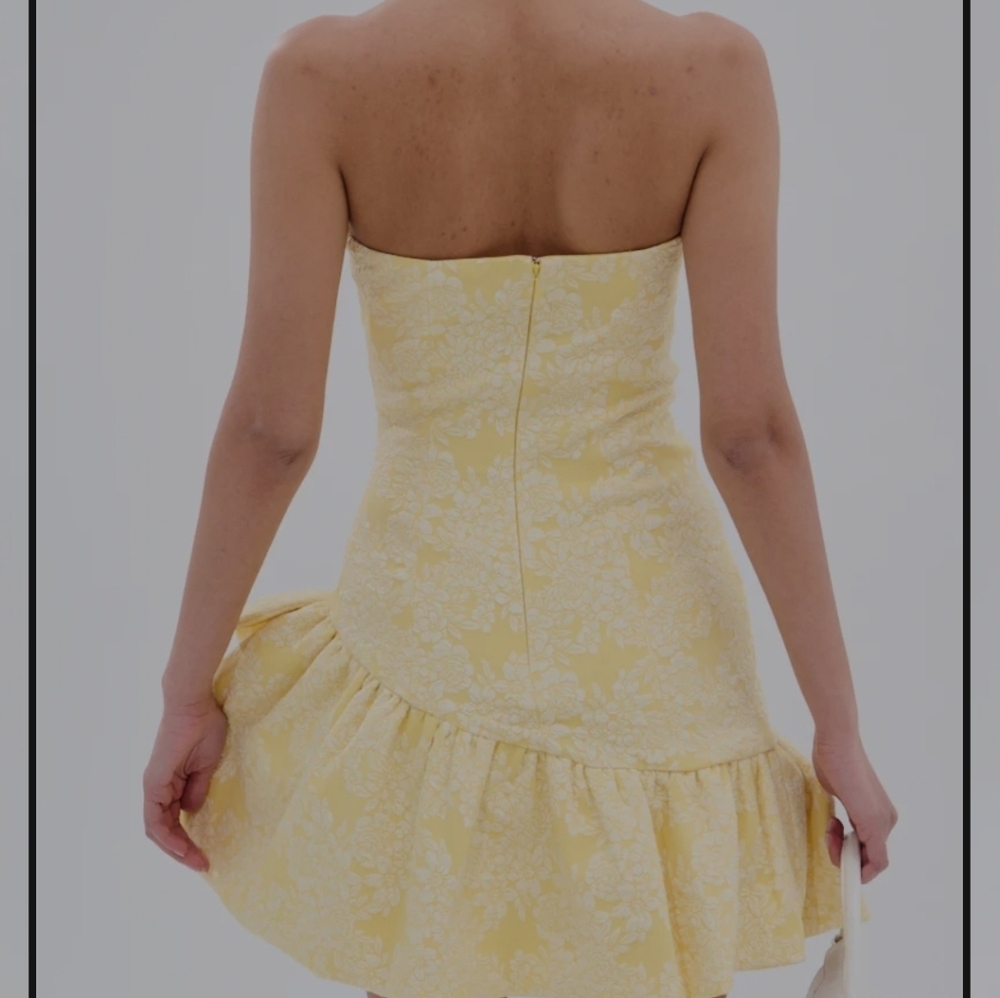 GARDEN PARTY MINI DRESS - XL